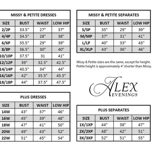 Alex Evenings Women’s Hannah Glitter Mesh Gown Black Sz 14 NWT - Picture 8 of 8